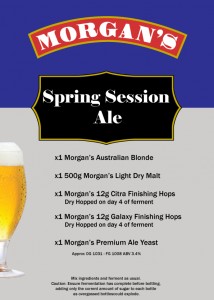 Spring-Session-Ale