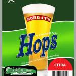 Citra-Hops